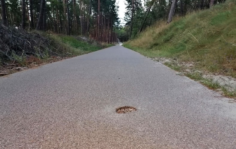 Krynica Morska oraz jej okolice. Ścieżki i trasy rowerowe