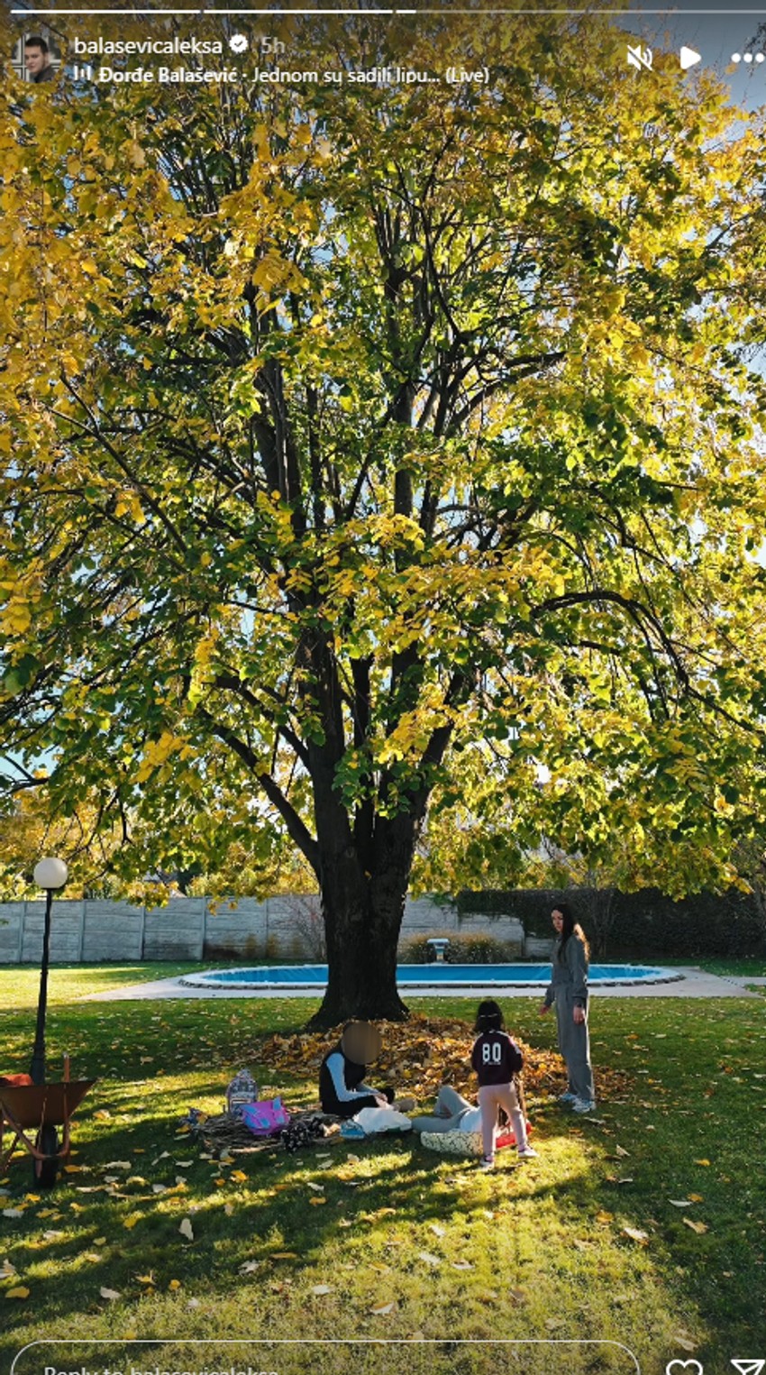 Aleksa Balašević objava