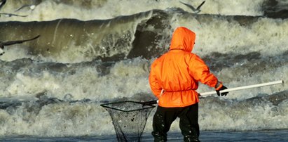 Zbierasz na plaży bursztyny? Uważaj!