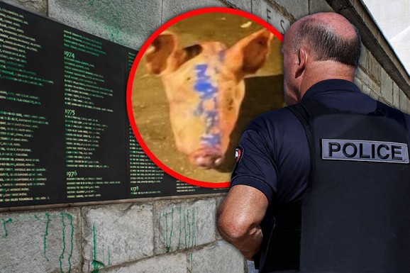 PROCURILA DOKUMENTA O RUSKIM OPERACIJA U EVROPI Svinjske glave ispred džamija s natpisom Makron, u deo akcija učestvovali Srbi, cilj - RAZDOR U EU
