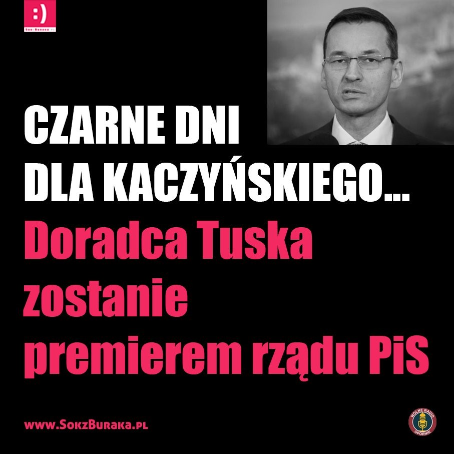 https://ocdn.eu/pulscms-transforms/1/sFtktkqTURBXy8zNTJkZTM5NGIwOTk5ZjkxOTE0NWVhMTJmNzc4MWFlMy5qcGVnkpUCzQPAAMLDlQIAzQPAwsM