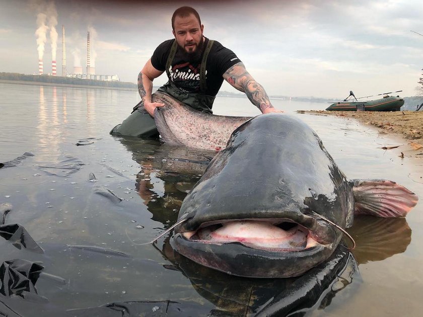 Sum gigant złowiony!