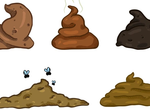 What the colour of your poop says about your health