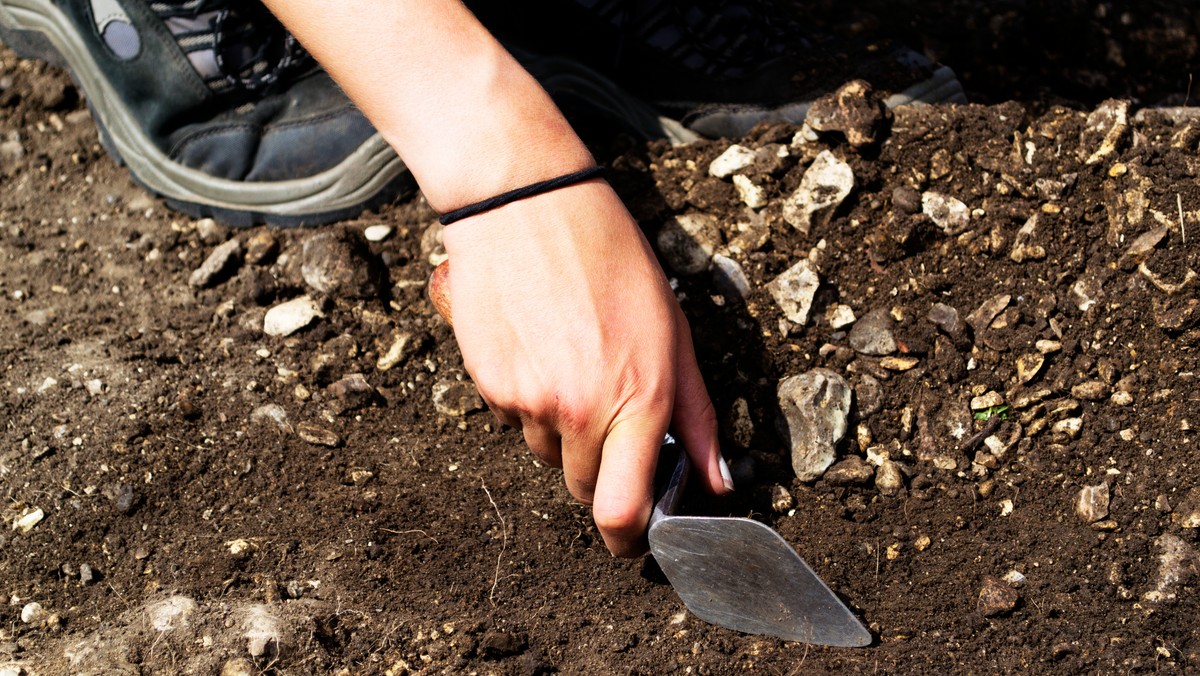 W okolicach Zgórska koło Kielc archeolodzy odkryli wczoraj szczątki siódmej ofiary egzekucji, najpewniej komunistycznego terroru. Zdaniem badaczy, niewykluczone są tam kolejne podobne odkrycia.