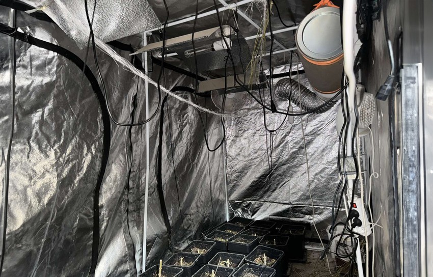 Laboratorija za uzgoj marihuane