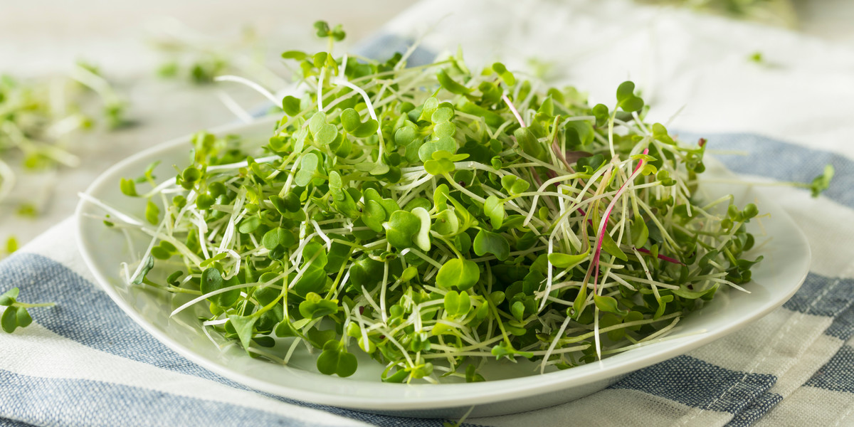 Mikroliście, zwane też microgreens, są mniejsze niż dorosłe rośliny, ale większe niż kiełki. Kryje się w nich maksimum witamin i smaku, koniecznie spróbuj je wyhodować na parapecie! 