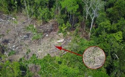 Nieznane plemię odkryte przez drony. Amazonia skrywa jeszcze mnóstwo plemion nie znających cywilizacji