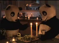 Zobacz co pandy robią po ciemku