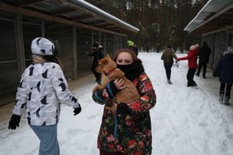 „czekały godzinami na mrozie”. szokujące relacje ze schroniska w sobol