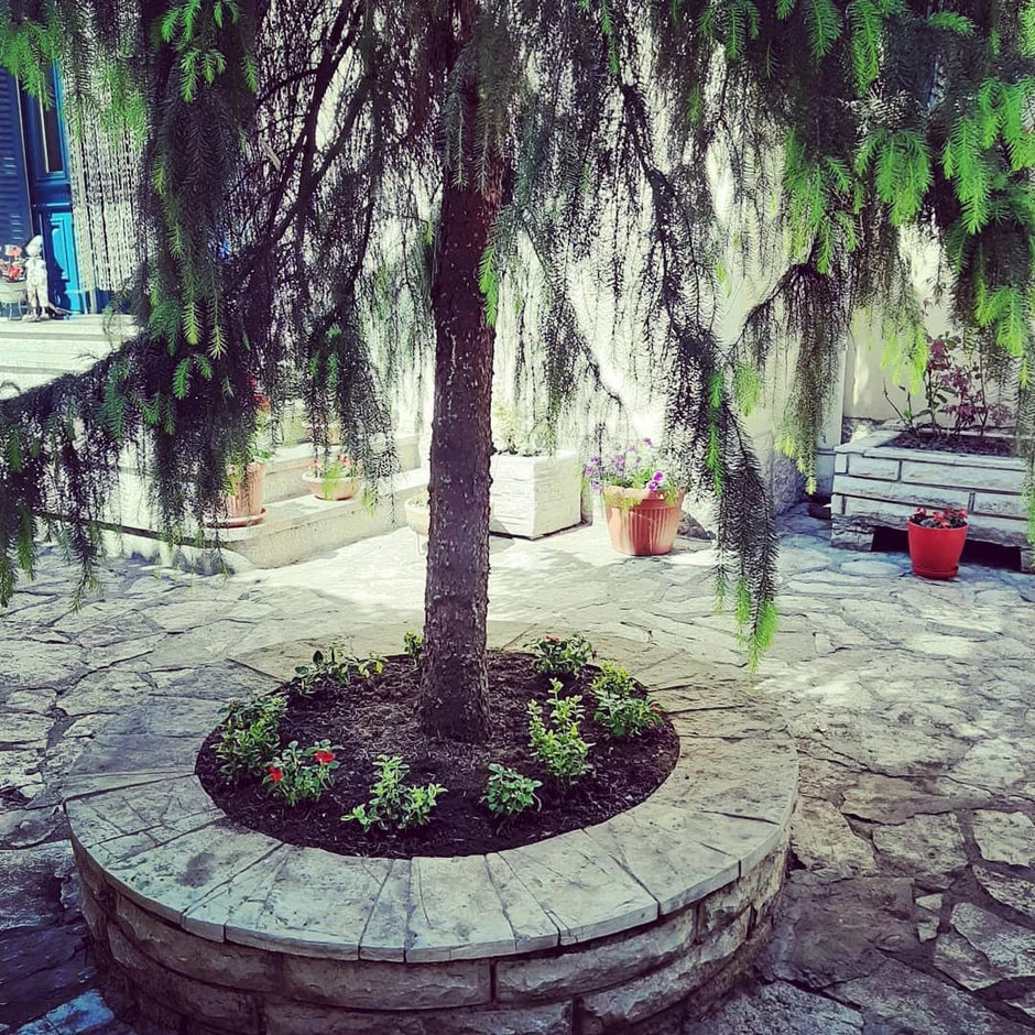 Kuća Vesne Čipčić na Vračaru