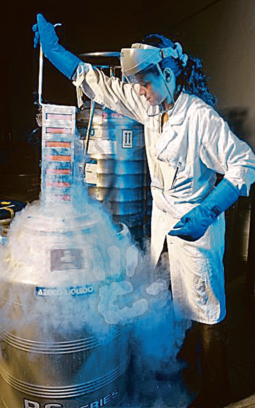 Postoje tri vrste banaka matičnih ćelija, kaže dr Dragana Vujić