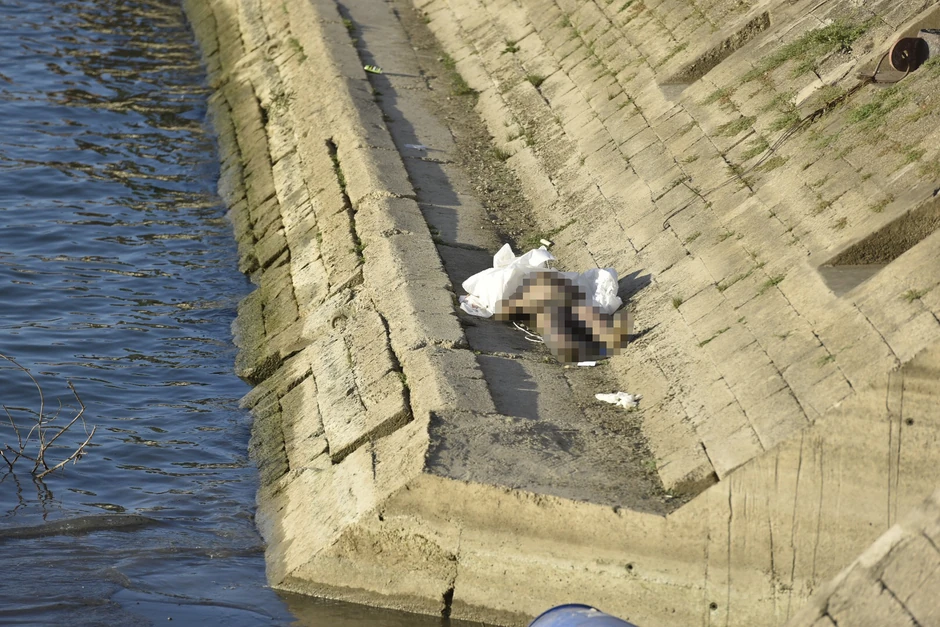 Na telu mladića uočene su brojne povrede