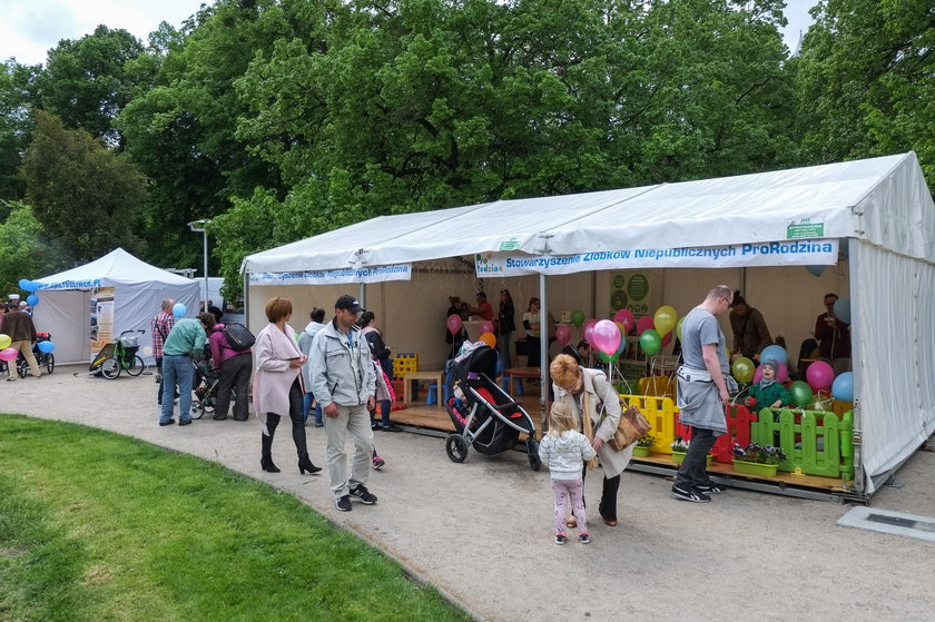 Poznaniacy bawili się na pikniku w parku Wilsona