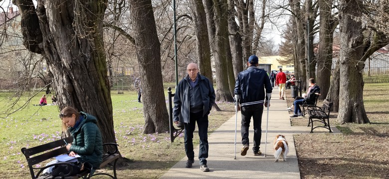Pogoda na marzec 2026. Wielki zwrot w prognozach. Czy wiosenne ciepło zostanie z nami?
