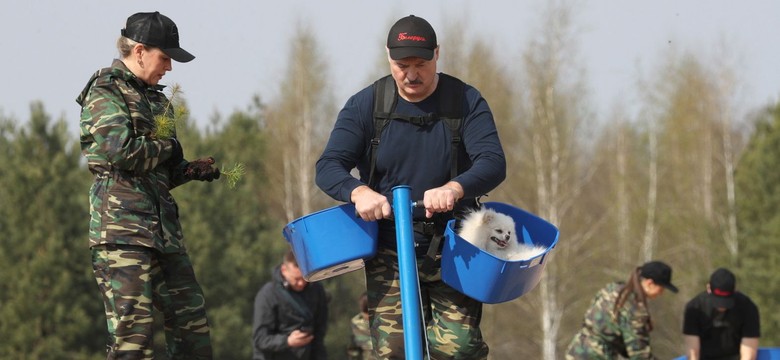 Wielki czyn społeczny na Białorusi. Koronawirus Łukaszence nadal niestraszny