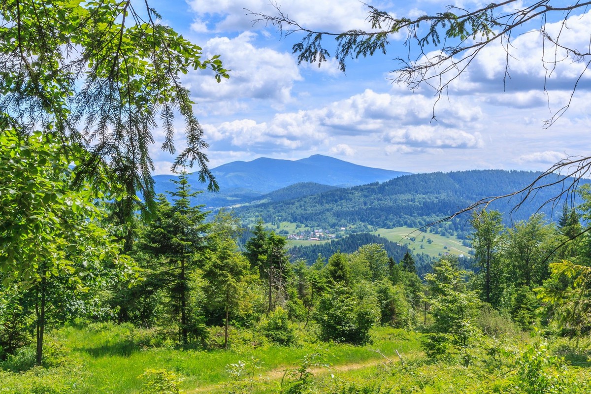Babia Góra
