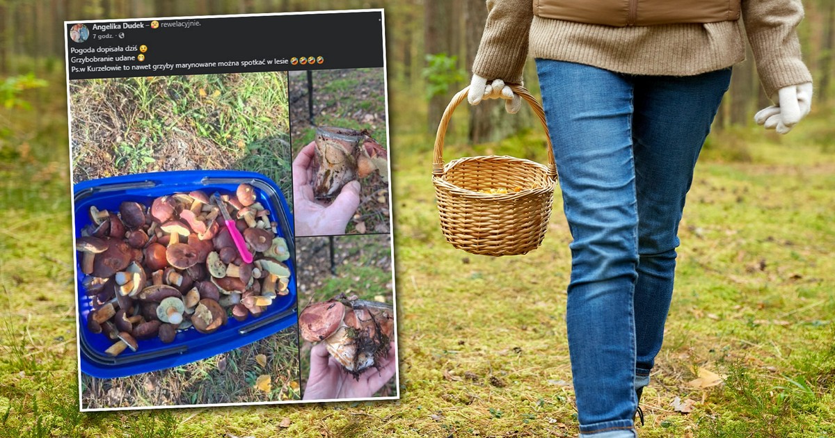 Poszła na grzyby, ale czegoś takiego się nie spodziewała. Co za "okaz"!