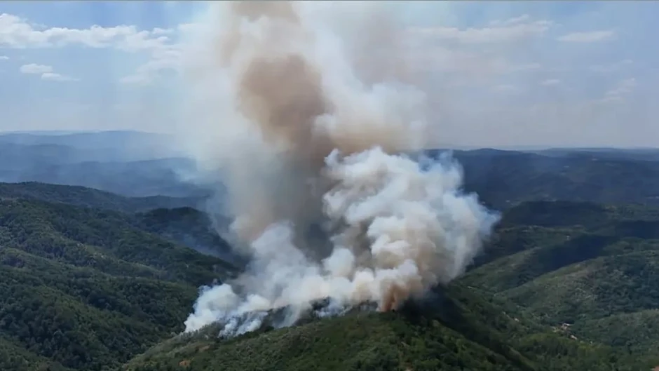 Veliki požar kod Knjaževca