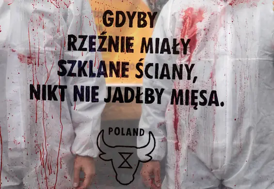 "Gdyby rzeźnie miały szklane ściany, nikt nie jadłby mięsa". Krew przed Ministerstwem Rolnictwa