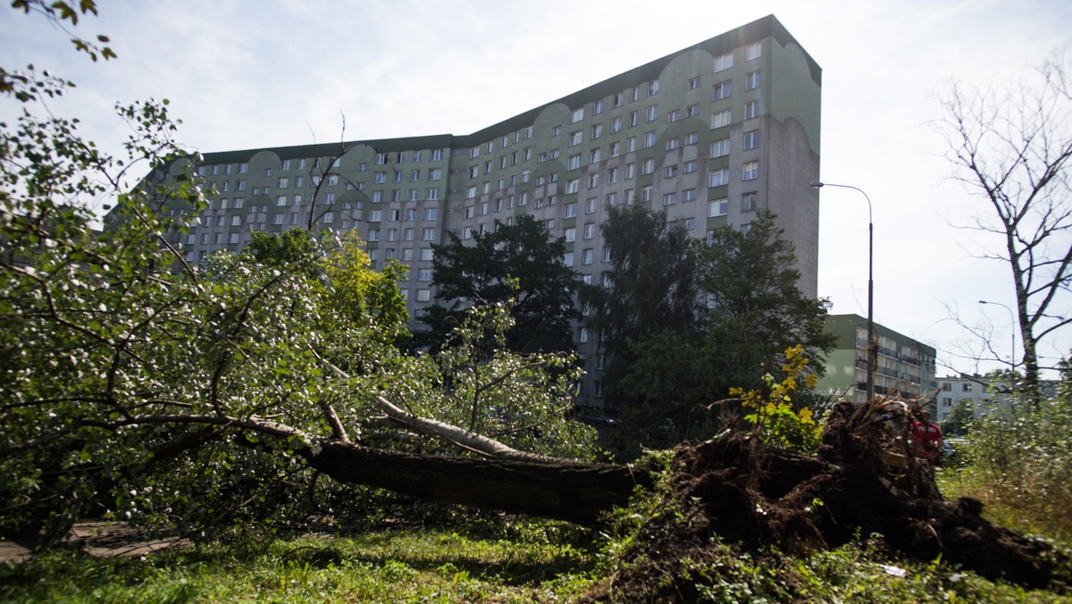 Ze względu na usuwanie skutków nawałnicy, jaka przeszła wczoraj rano nad Łodzią oraz bezpieczeństwo spacerujących do odwołania wydano zakaz wstępu do niektórych parków w mieście - poinformował dziś łódzki magistrat.