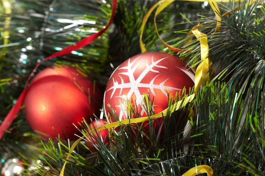 ukrasi_public_shutterstock__Di003301799_preview (2)