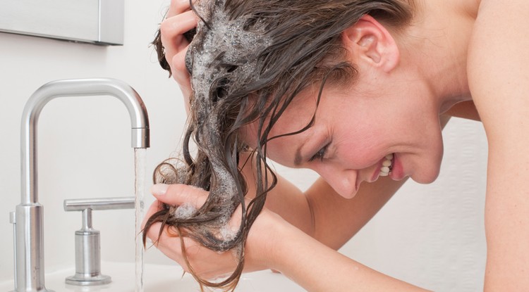 Upside down hairwash - moss hajat fejjel lefelé! Fotó: Getty Images