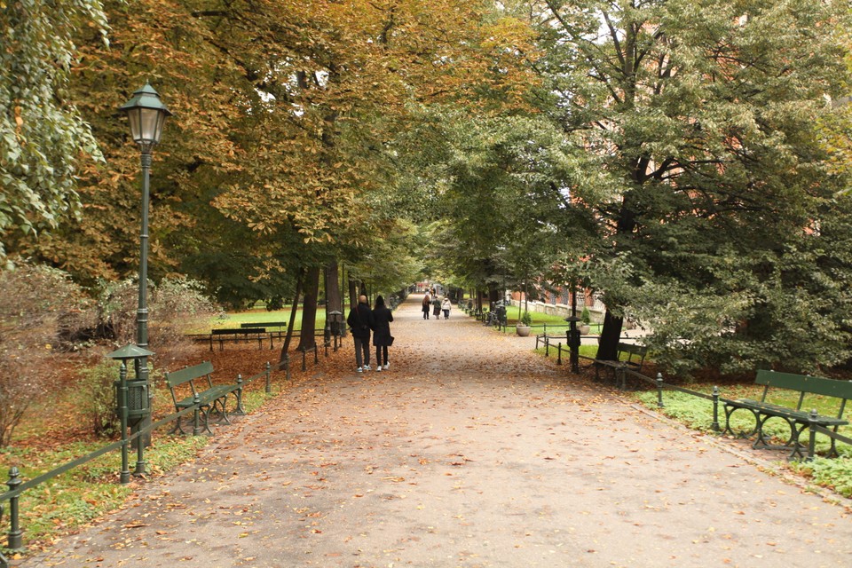 Kraków w czerwonej strefie. Niedzielny poranek