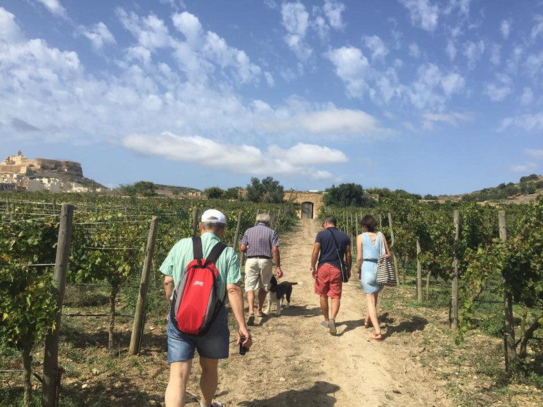 Farma Josepha na Gozo