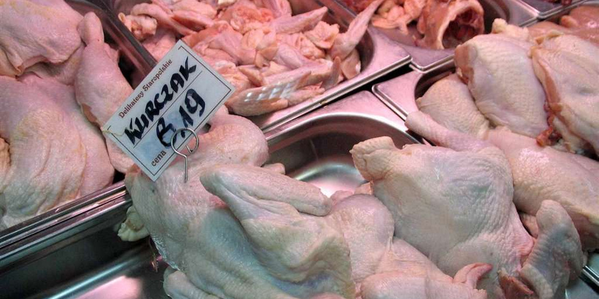 Polskie kurczaki zakażone salmonellą?