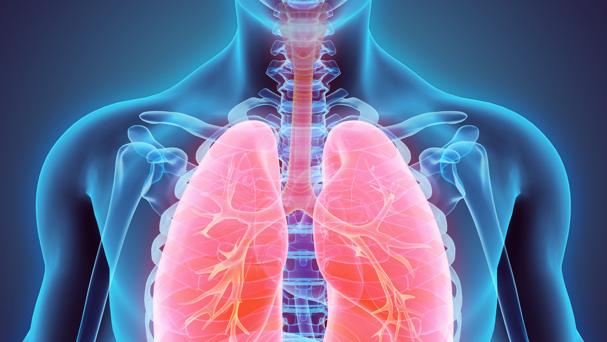 Układ oddechowy u człowieka odpowiada za wymianę gazów (a dokładniej tlenu i dwutlenku węgla) między ciałem a środowiskiem. Wszystkie komórki w naszym organizmie do prawidłowego funkcjonowania i produkowania energii potrzebują tlenu. Układ oddechowy składa się z płuc oraz górnych i dolnych dróg oddechowych.