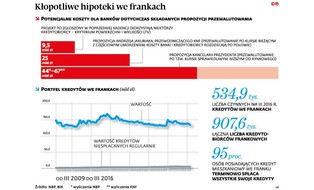 Trzy drogi dla frankowiczów. Jaką propozycję przedstawi Kancelaria Prezydenta?