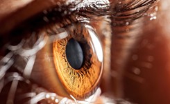 Martwi Czesi uratują oczy Polaków. To rozwiązanie skróci kolejki do przeszczepów