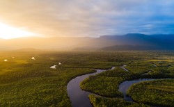 Puszcza Amazońska w lutym płonęła rekordową ilość razy