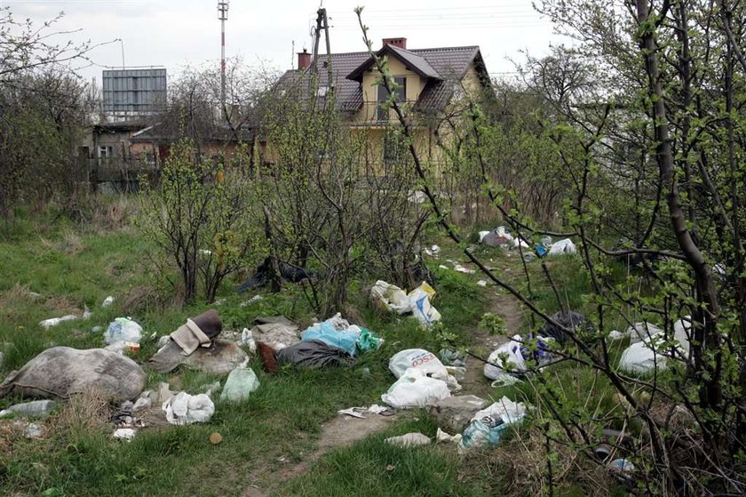 W Gdyni czysto tylko w centrum