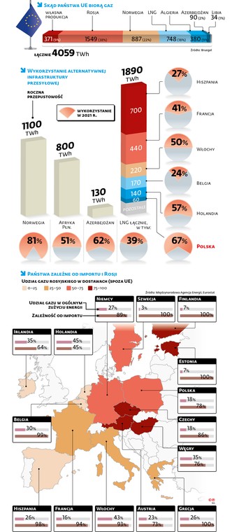 Skąd państwa UE biorą gaz