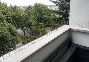 Zaštita od ptica na balkonu
