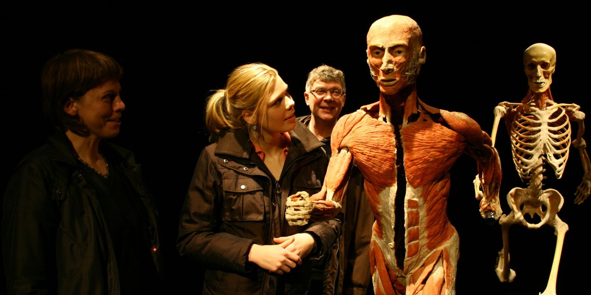 Body Worlds