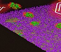 nanotech-bakterium-d00000FB258282a9f3347
