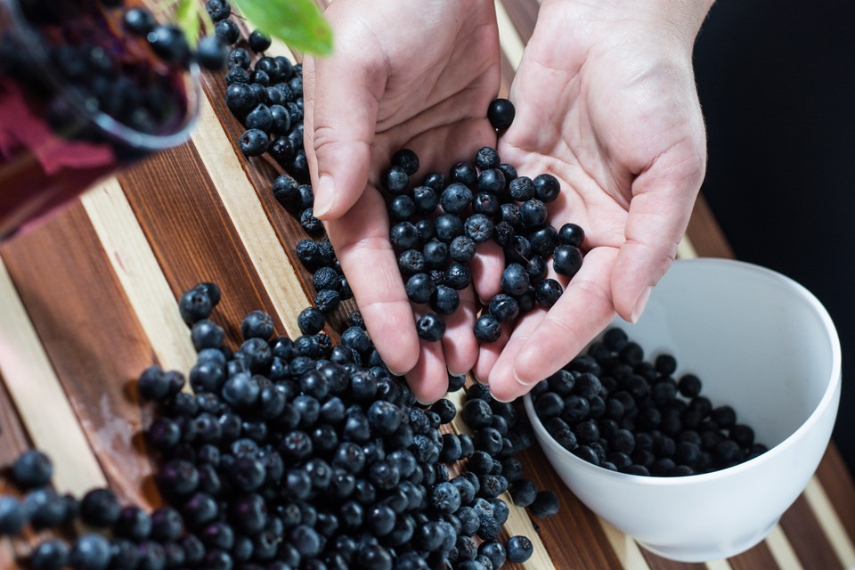 Borówka, aronia, żurawina, rokitnik, czarna porzeczka