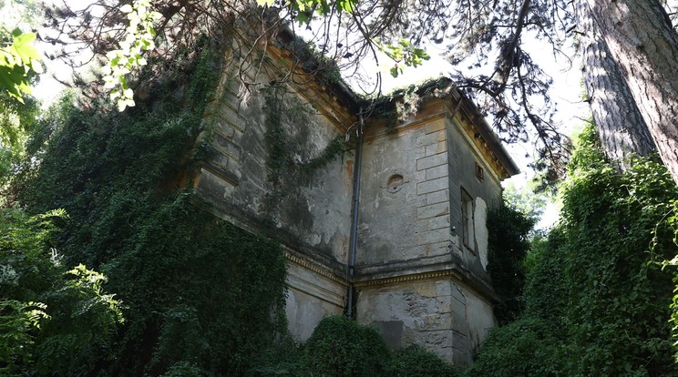 Balatonederics szélén, a főút mellett, sűrű bozótban rejtőzik az elátkozott Fekete-kastély / Fotó: Pozsonyi Zita