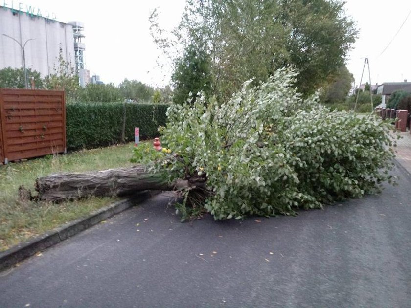 Oto, co zostawiły po sobie wichury. Skala zniszczeń jest ogromna