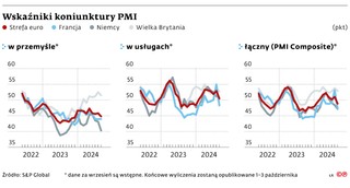 Wskaźniki koniunktury PMI