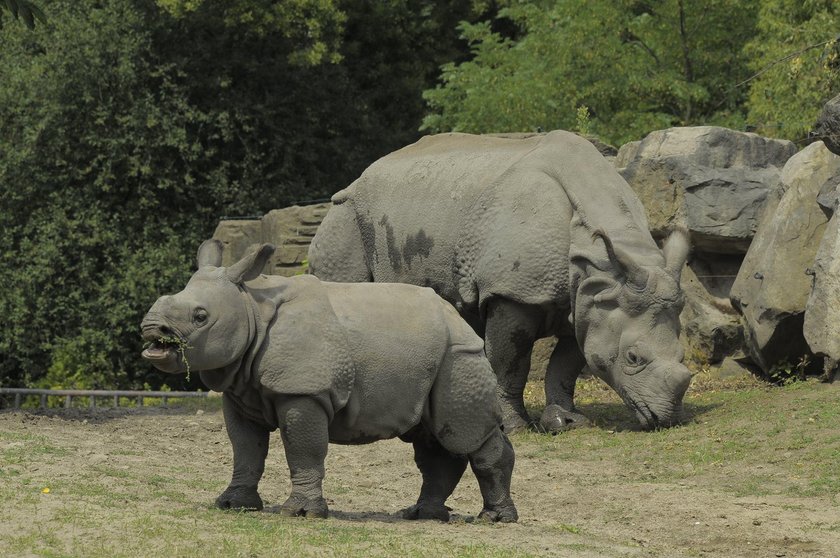 Zoo otwiera swoje bramy