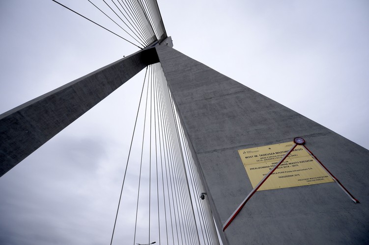 Poza pięcioprzęsłowym mostem przez rzekę Wisłok o długości 482 m inwestycja obejmowała także budowę drogi o długości ok. 1,8 km.