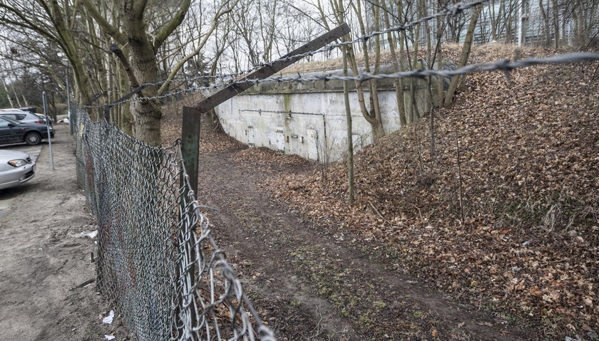 Czy kobalt był niebezpieczny?