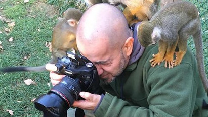 A szeleburdi mókusmajomcsapat így terítette le a Pécsi Állatkert fotósát