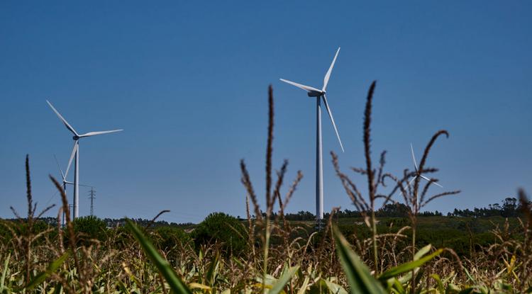 2020-ban a teljes megtermelt energiamennyiség negyedét adta a szél Portugáliában