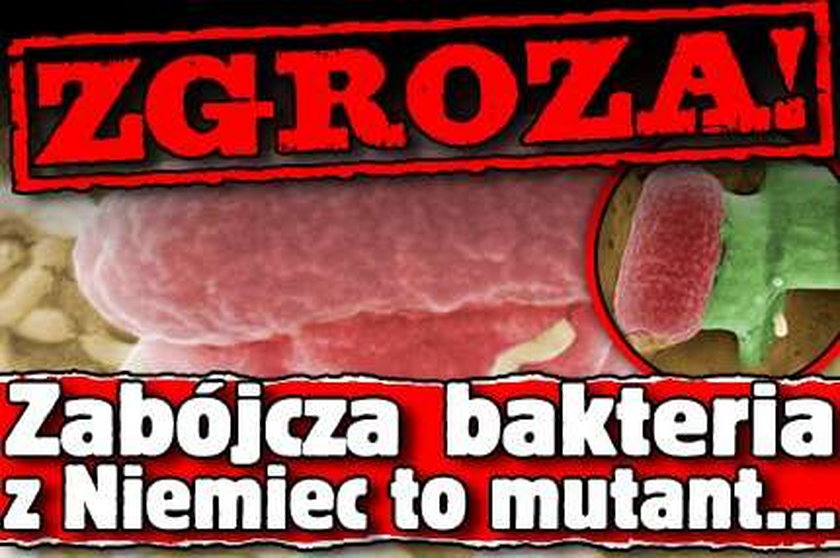 Zgroza! Zabójcza bakteria z Niemiec to mutant...