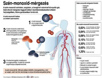 szenmonoxid-kis-d000016A01b57309d82ef