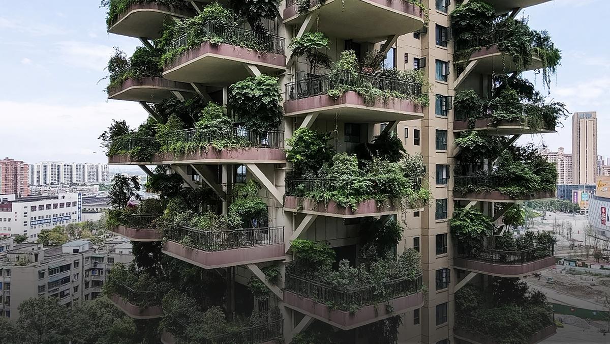 Osiedle mieszkaniowe pochłonięte przez dżunglę, Chengdu, Chiny
